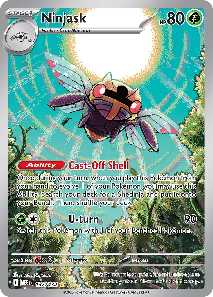 Ninjask