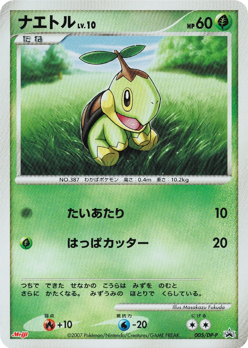 Turtwig