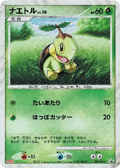 Turtwig