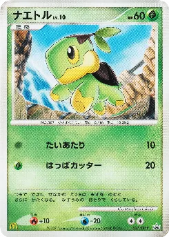 Turtwig