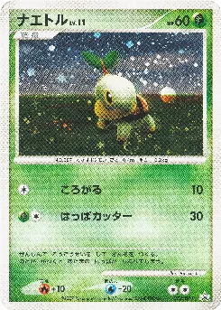 Turtwig