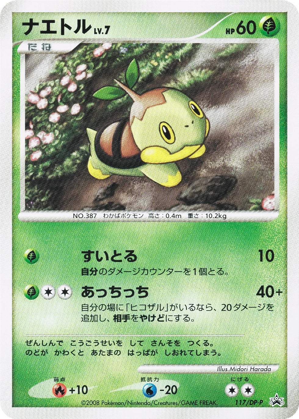 Turtwig