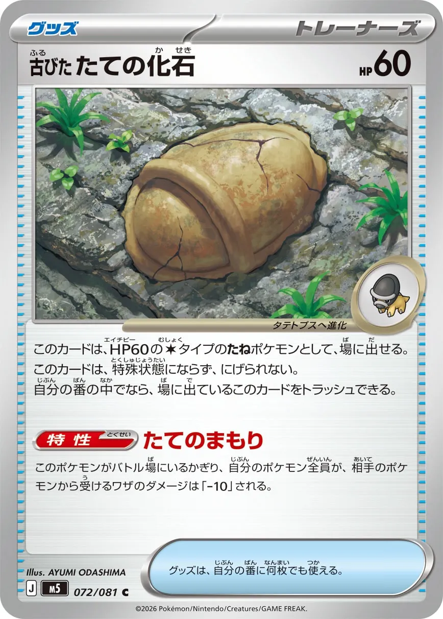 Antique Shield Fossil
