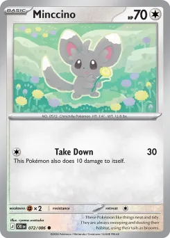 Minccino