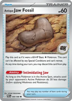 Antique Jaw Fossil