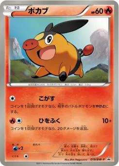 Tepig